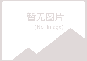 城子河区女孩机械有限公司